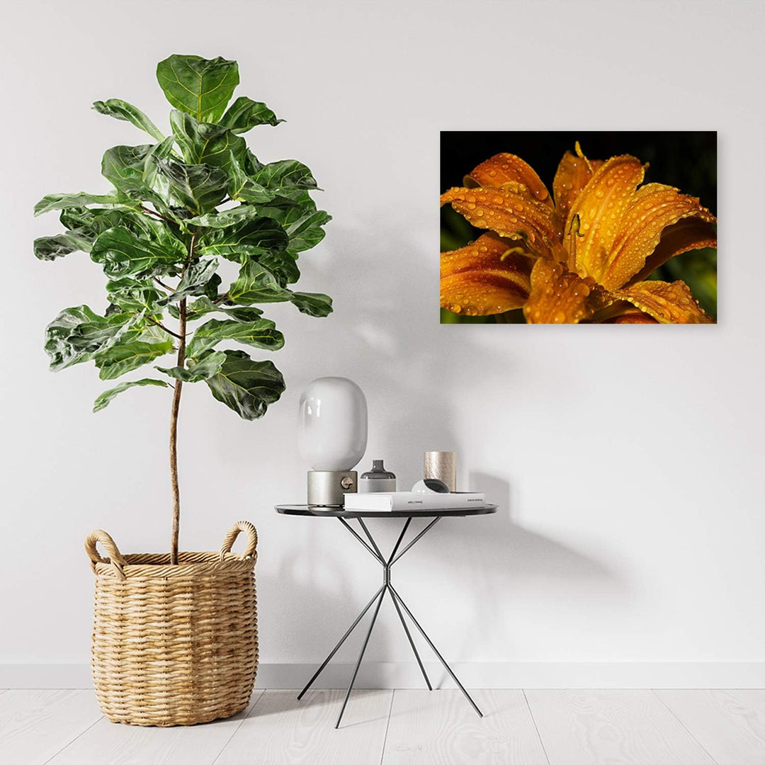 Feeby Bild auf Leinwand Pflanze Kunstdruck modern Natur Orange 80x60 cm Leinwandbild 80x60 cm Orange