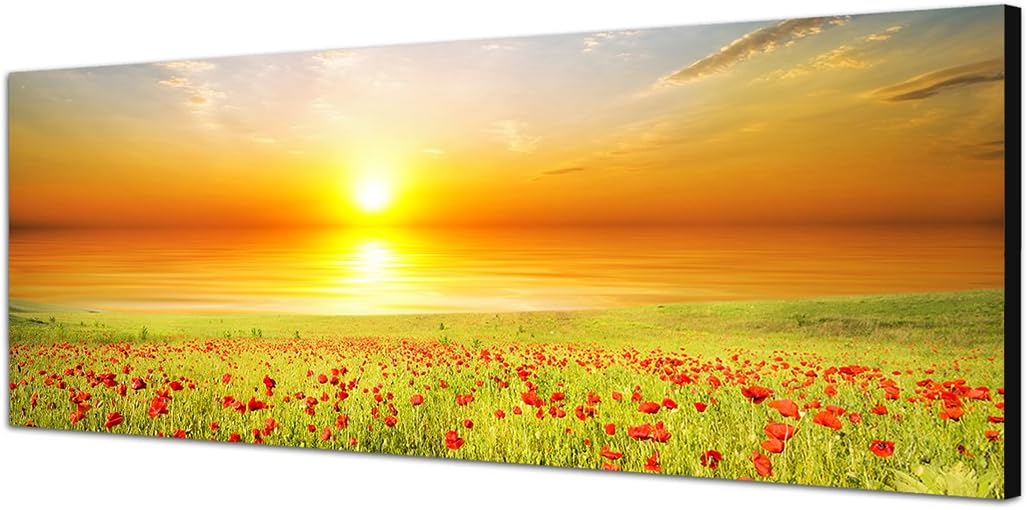Paul Sinus Art Panoramabild auf Leinwand und Keilrahmen 150x50cm Mohnblumen Feld Frühling Sonnenunte