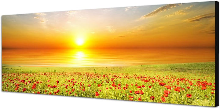 Paul Sinus Art Panoramabild auf Leinwand und Keilrahmen 150x50cm Mohnblumen Feld Frühling Sonnenunte
