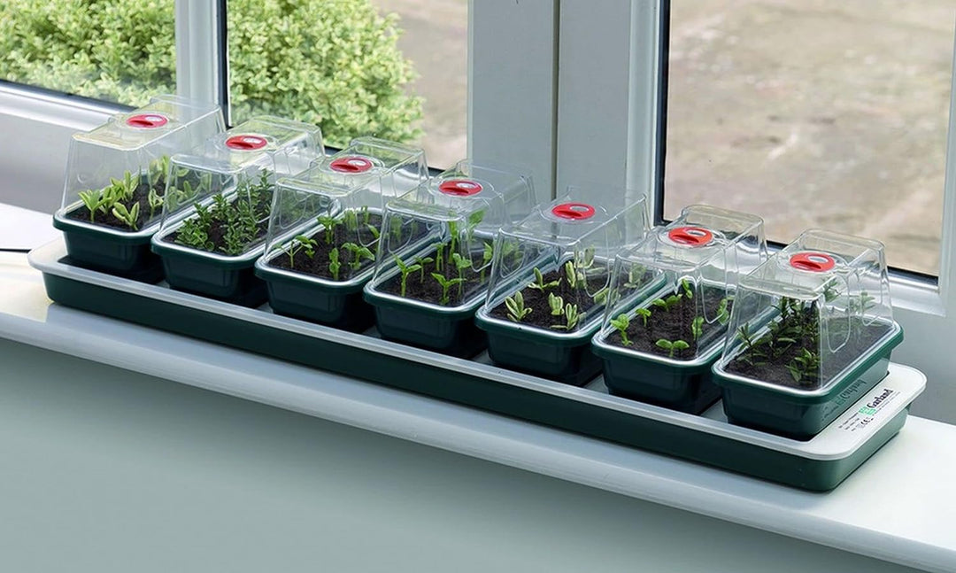 Garland Beheiztes Mini-Gewächshaus Super 7, 76 x 18,5 x 15 cm, für Keime und Stecklinge, 7 Stück
