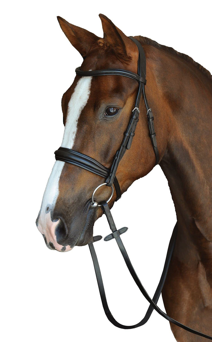 Collegiate Mono Crown Padded Raised Cavesson Snaffle Bridle Schwarz Volle Grösse, Schwarz Volle Grös