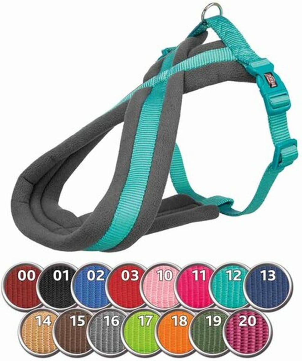 PREMIUM tourengeschirr apfel M-L 50-80 cm/25 mm, apfel M-L 50-80 cm/25 mm