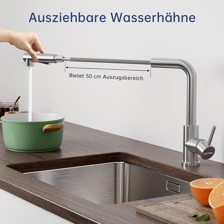 DAYONE Niederdruck Wasserhahn Küche Ausziehbar, Niederdruck Armatur Küche Ausziehbar 3 Anschlüsse, 2