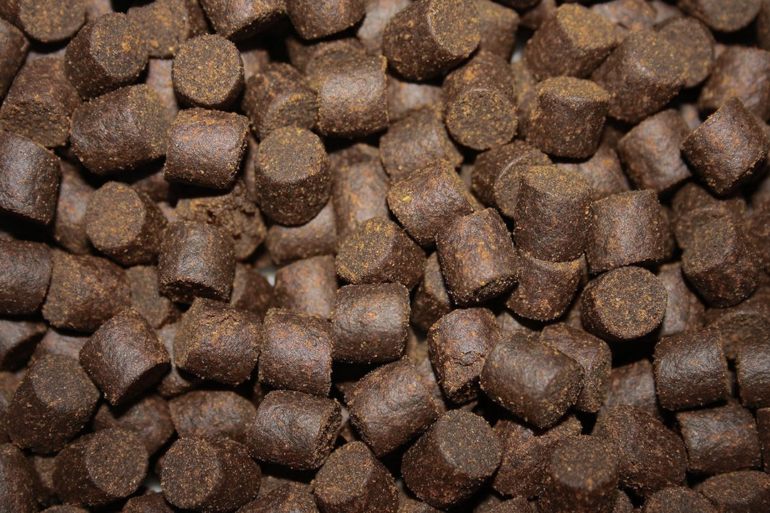 Tomodachi Störfutter gross, Energiefutter Stör perfekt für die ganzjährige Störfütterung, Störsinkfu