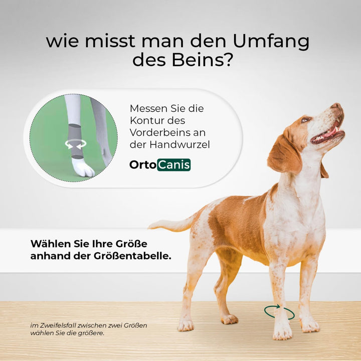 Ortocanis - Karpalgelenk-Bandage für Hund - Arthrose, Bänder- und Sehnenverletzungen oder Agility-Hu