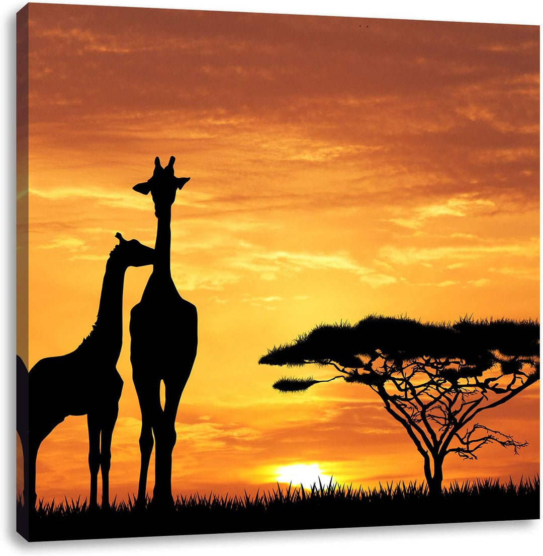 Pixxprint Giraffen im Sonnenuntergang als Leinwandbild Quadratisch | Grösse: 70x70 | Wandbild| Kunst