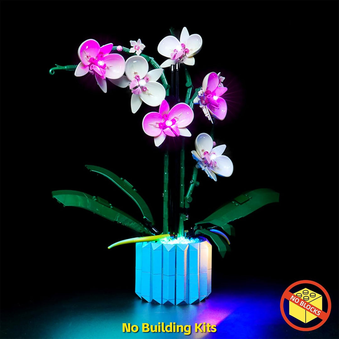 Led Licht Set für Lego 10311 Icons Orchidee Set（Kein Lego-Modell enthalten, BrickBling DIY Beleuchtu