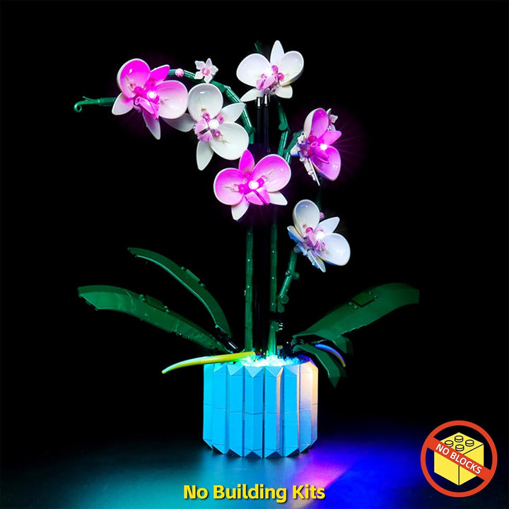 Led Licht Set für Lego 10311 Icons Orchidee Set（Kein Lego-Modell enthalten, BrickBling DIY Beleuchtu