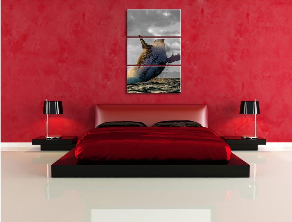 Pixxprint riesiger Buckelwal in Canada schwarz/weiss 3-Teiler Leinwandbild 120x80 Bild auf Leinwand