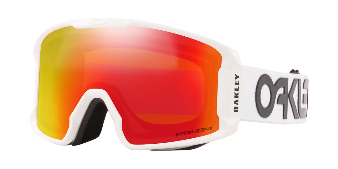 Oakley LINE Miner M Snow Goggle Mehrfarbig Einheitsgrösse, Mehrfarbig Einheitsgrösse