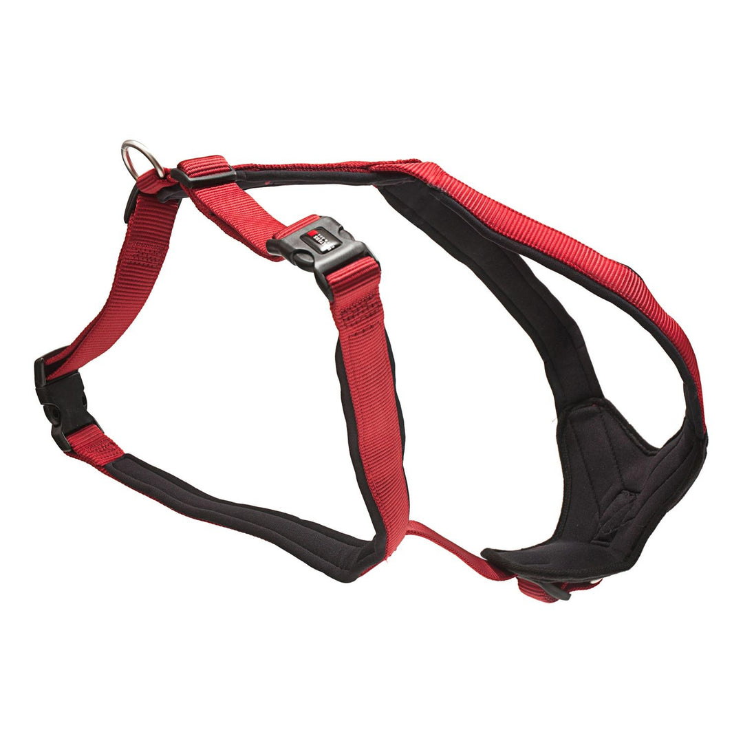 WOLTERS - Geschirr Professional Comfort - 45-50cm x 25mm - rot/schwarz