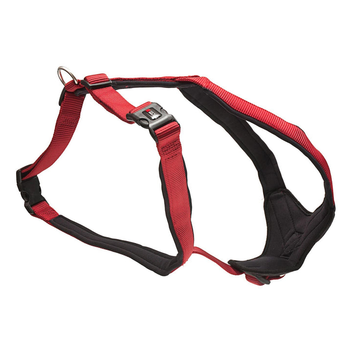 WOLTERS - Geschirr Professional Comfort - 45-50cm x 25mm - rot/schwarz