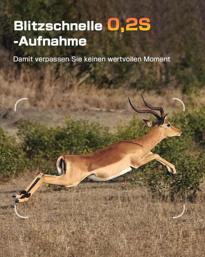 4G LTE Wildkamera mit Handyübertragung APP, Solar Überwachungskamera Aussen mit SIM Karte, 2K Wildti