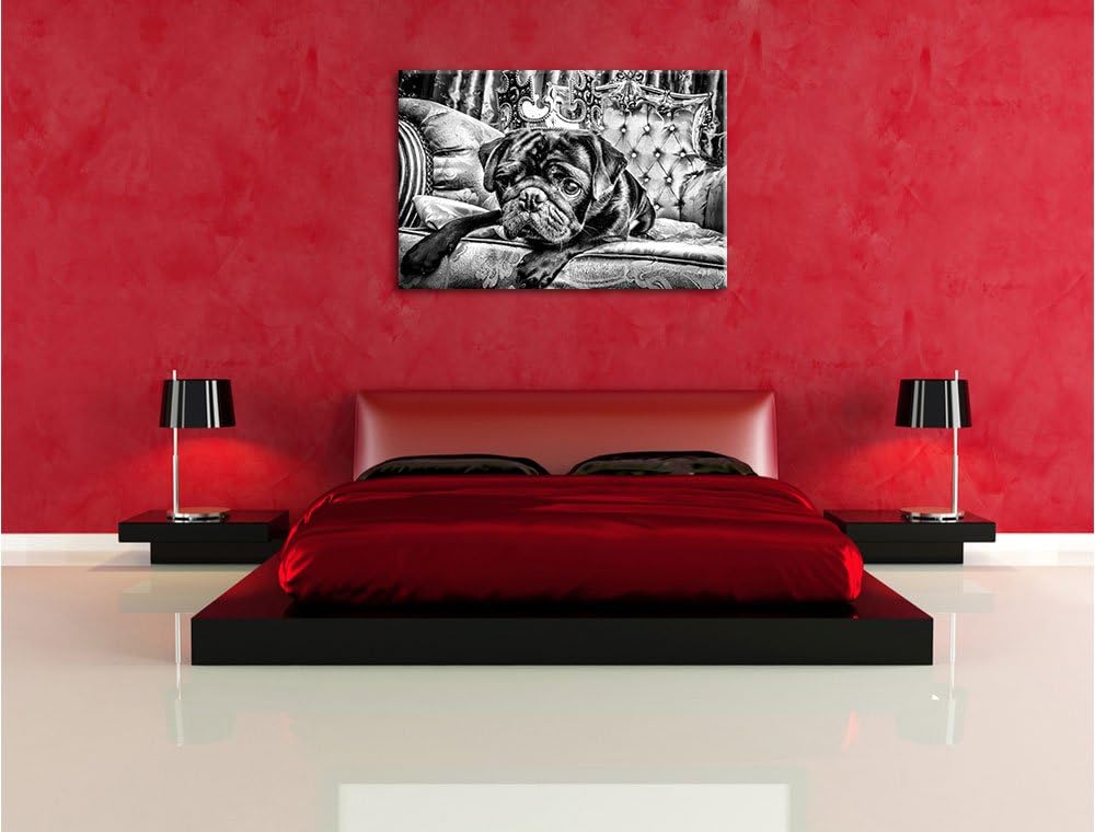 Pixxprint Süsser Mops auf dem Thron als Leinwandbild/Grösse: 100x70 / Wandbild/Kunstdruck/fertig bes