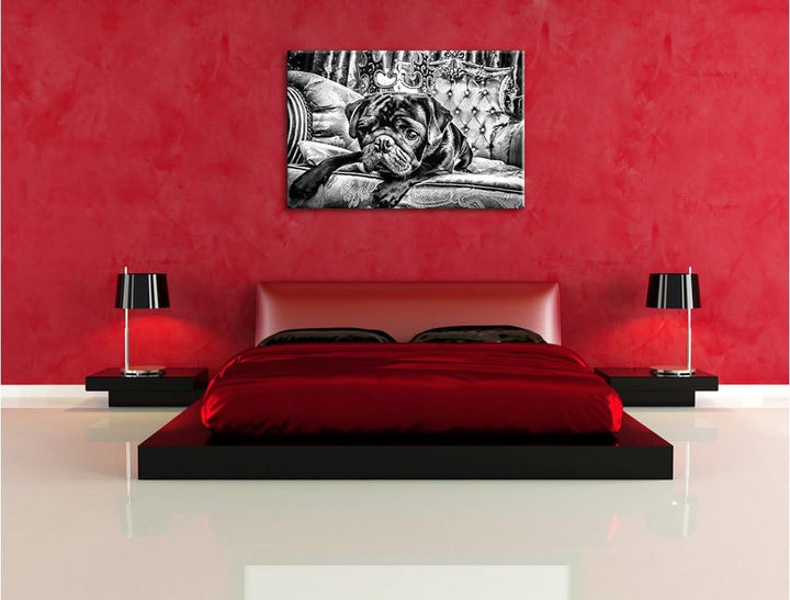 Pixxprint Süsser Mops auf dem Thron als Leinwandbild/Grösse: 100x70 / Wandbild/Kunstdruck/fertig bes