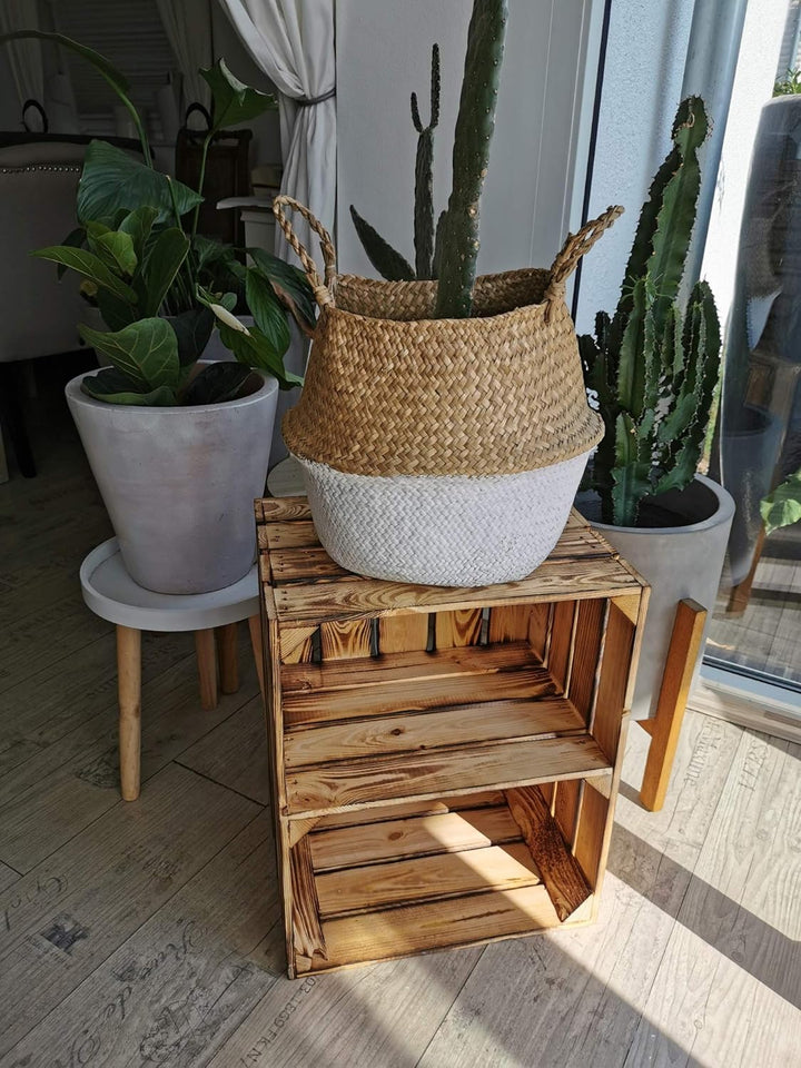 Teramico Massive Holzkisten als Schuhregal/Bücherregal LEICHT GEFLAMMT mit Zwischenbrett (verschraub