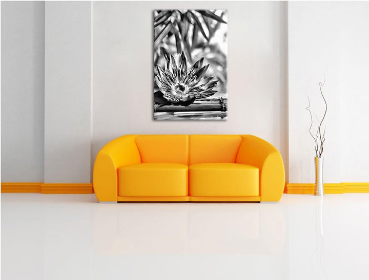 Pixxprint Monocrome, Seerose auf Bambus Wellness, Format: 100x70 auf Leinwand, 100x70