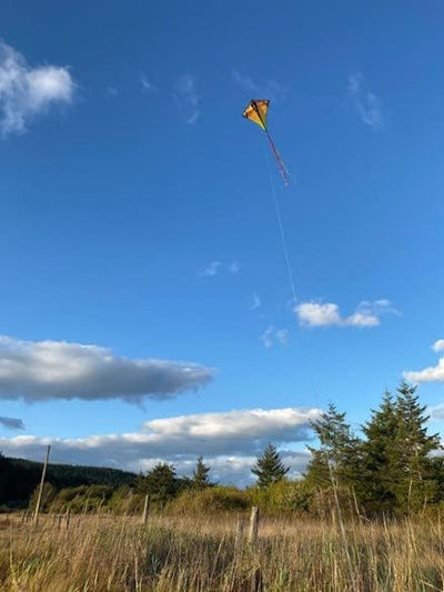 Prism Kite Technology Vertex High Flying Diamond Kite with 10' Long Triple Streamer Tail Infrarot, I