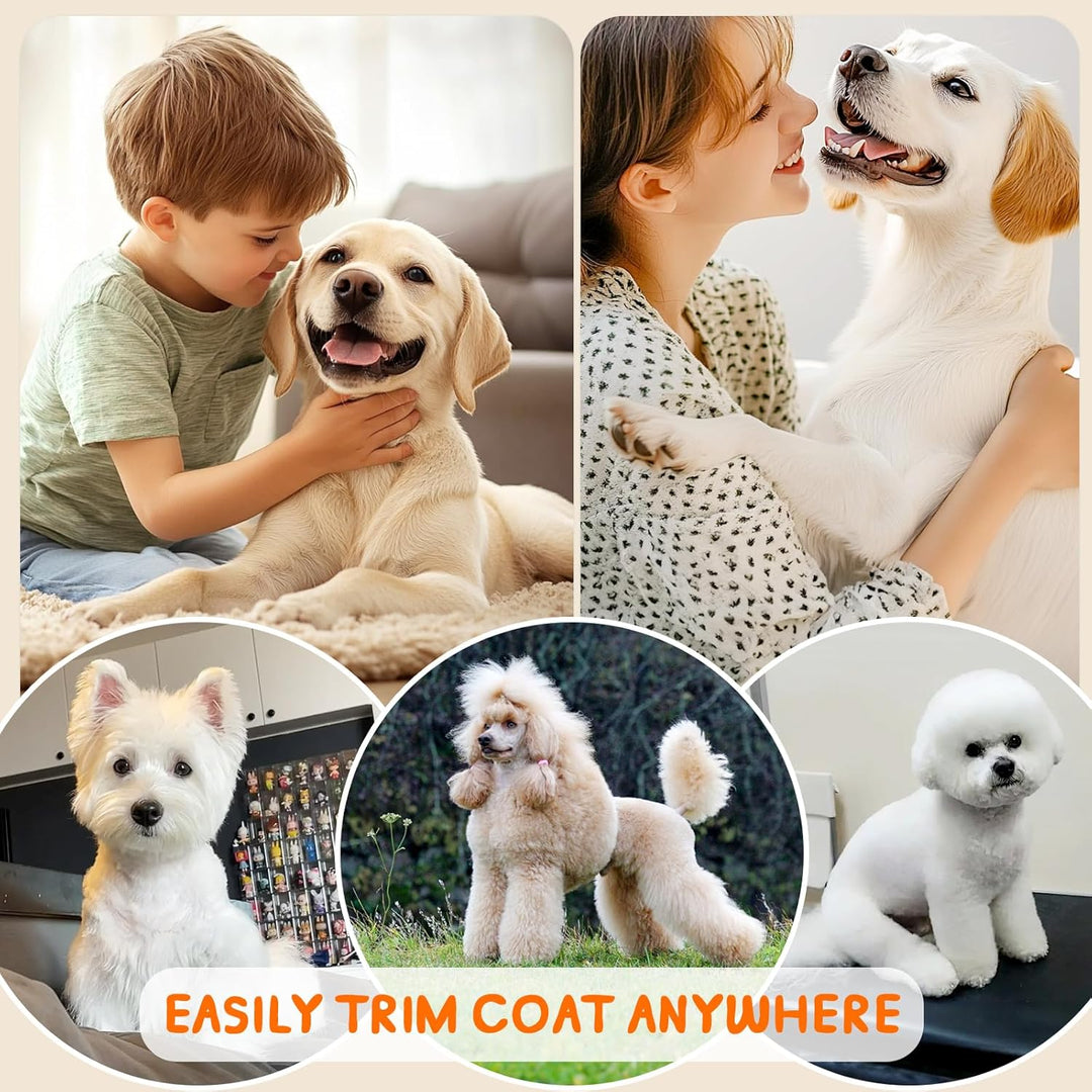 Profi Leise Hundeschermaschine, Schermaschine Hund Katze, tierhaarschneidemaschine set mit 4 Schneid