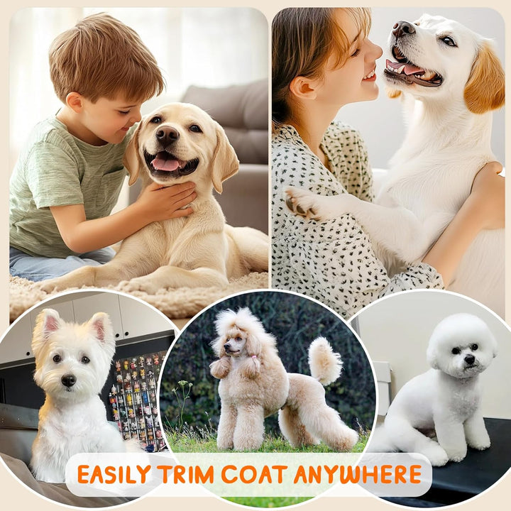 Profi Leise Hundeschermaschine, Schermaschine Hund Katze, tierhaarschneidemaschine set mit 4 Schneid