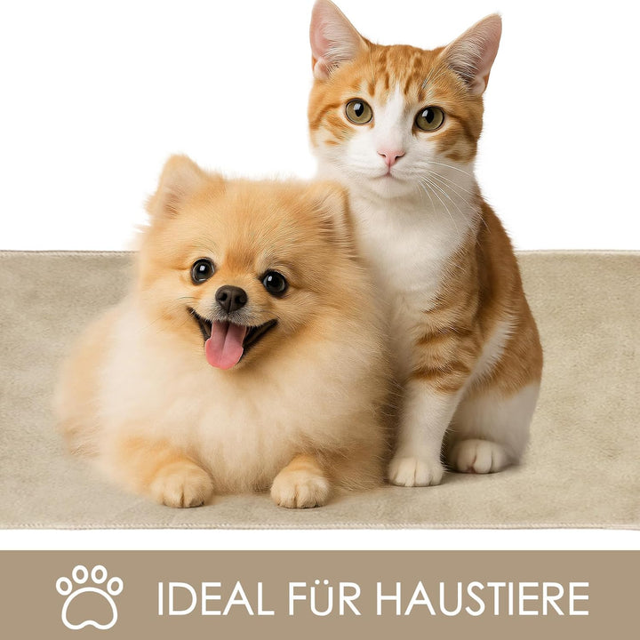 Fussmatte Beige 80x120 – Waschbare Türmatte Innen rutschfest mit TPE – Grosse Sauberlaufmatte Hausti