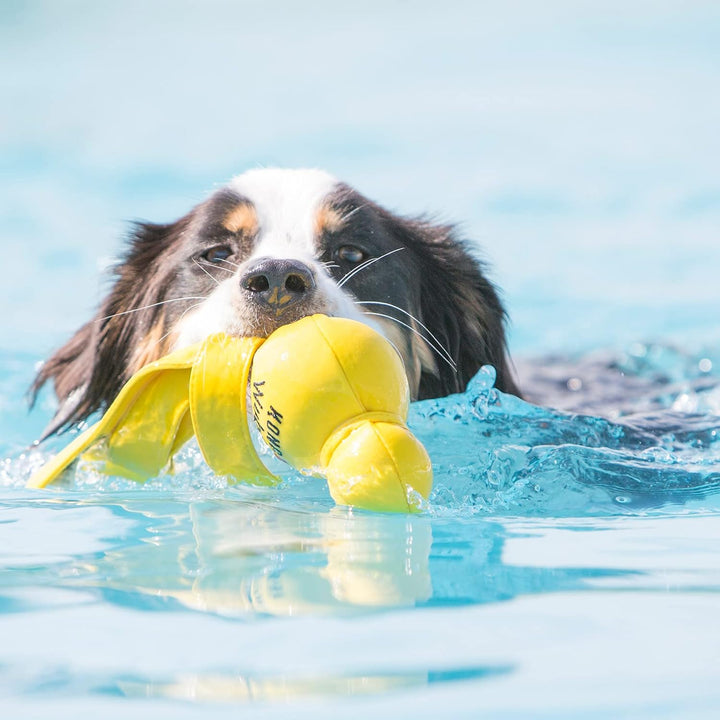 KONG – Wubba Wet – Schwimmendes Wasserspielzeug zum Apportieren (Farbvar.) – Für Grosse Hunde 1 Stüc