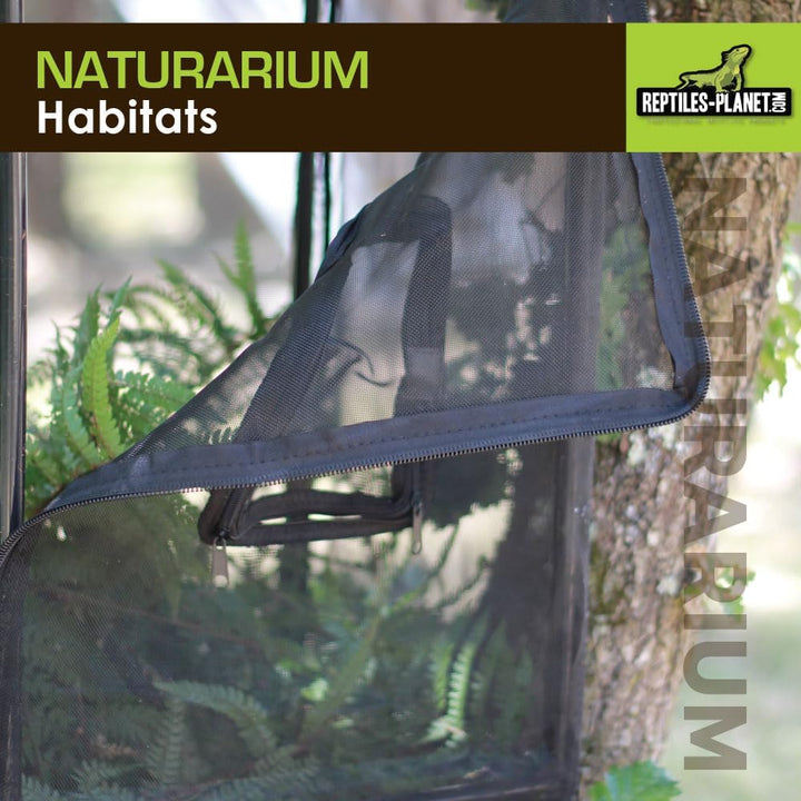 Reptiles Planet Terrarium Naturarium, M, 75 x 45 x 75 cm