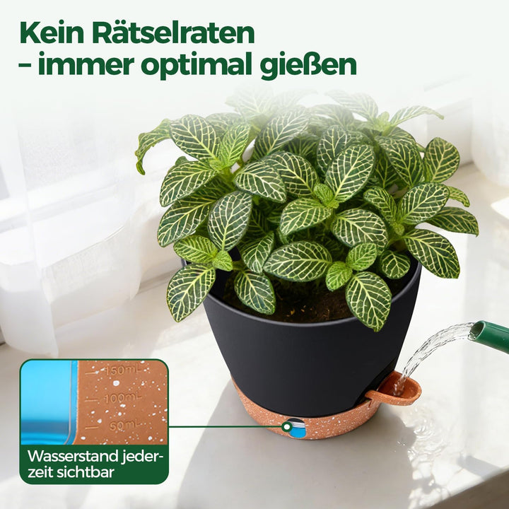 T4U 2er Set Automatische Bewässerung Übertopf 20 cm Durchmesser, Kräutertopf Küche, Kräutertöpfe – g