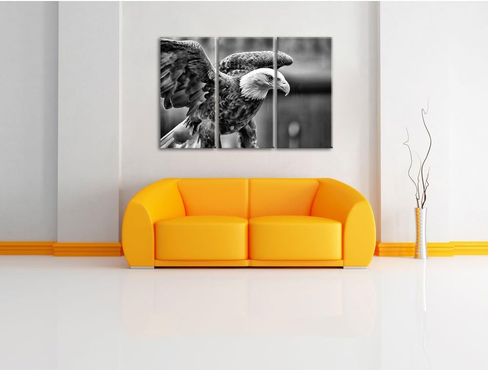 Pixxprint Adler als Leinwandbild | Grösse: 3 Teilig (120x80) | Wandbild| Kunstdruck | fertig bespann