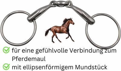 Wassertrense doppelt gebrochen Edelstahl massiv Stärke 14 mm, Ringe 65 mm, 11,5