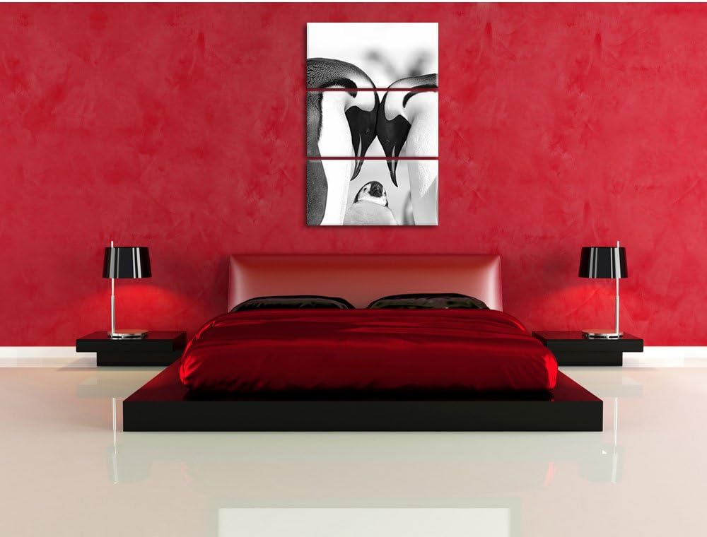 Pixxprint Kaiserpiguinpärchen Liebe als Leinwandbild/Grösse: 3 Teilig (120x80) cm/Wandbild/Kunstdruc