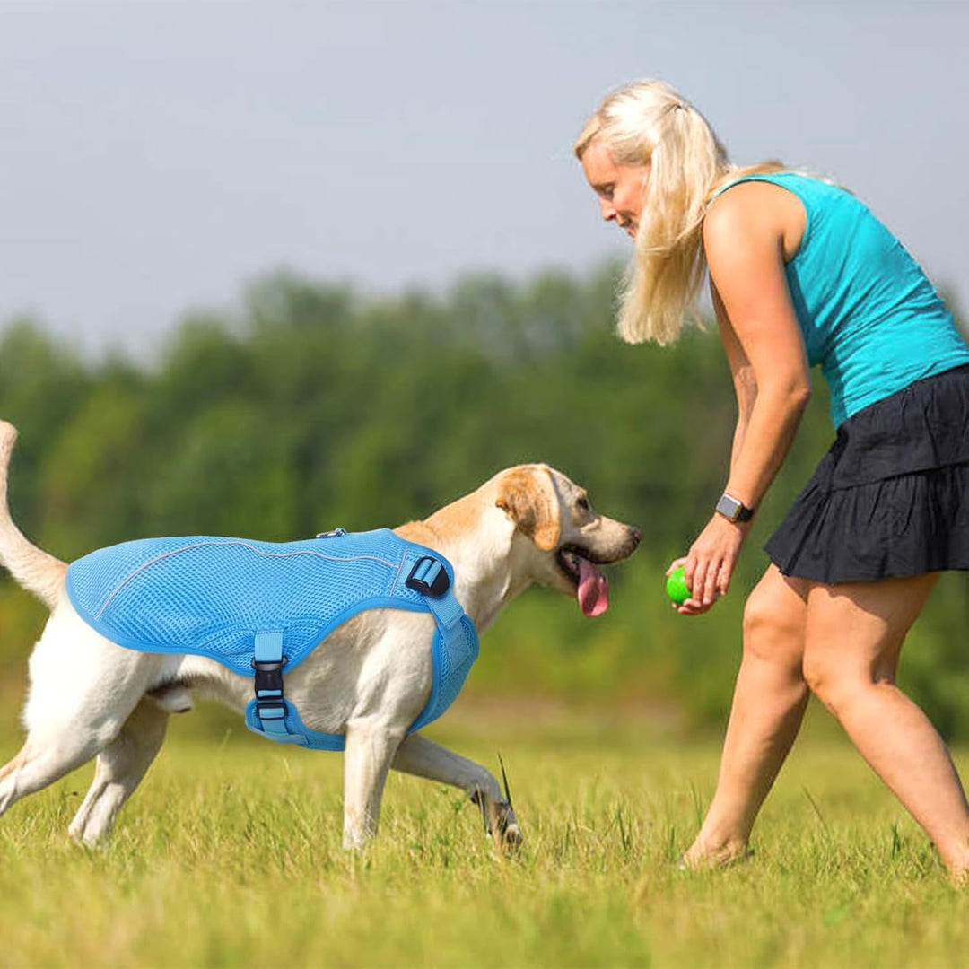 Kuoser Hund Kühlweste, Kühlweste für Hunde zur Abkühlung im Sommer, Atmungsaktive Hundekühlweste mit