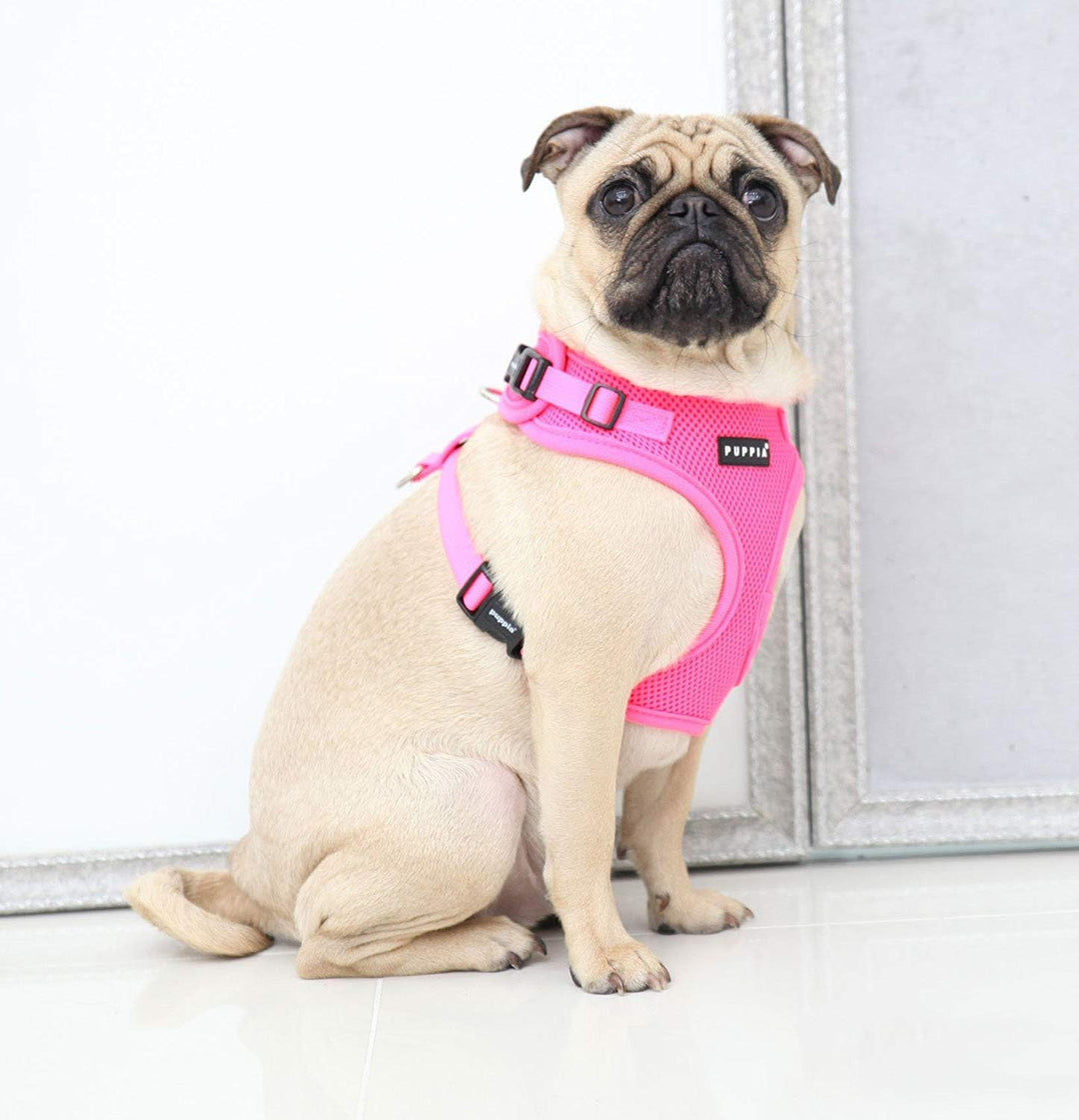 Puppia Neon Hundegeschirr für kleine bis mittelgrosse Hunde - verstellbar und sehr weich - Auch als