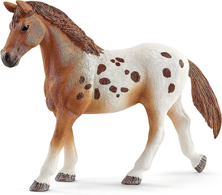 schleich 42433 HORSE CLUB Lisas Turnier-Training, 17 Teile Spielset mit 3x schleich Pferde Figuren u
