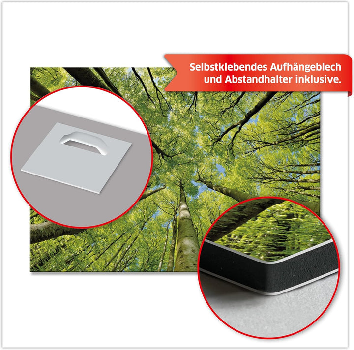 Primus Print - Wandbild Glasbild - Acrylglas Aludibond (Aluminium, Bäume 84,1x59,4 cm) Aluminium Bäu