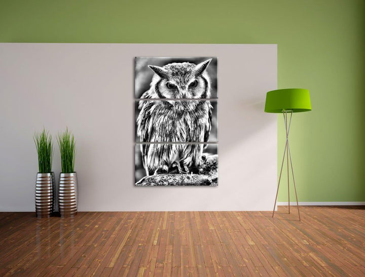 Pixxprint Monocrome, Nordbüscheleule Otus leucotis 3-Teiler Leinwandbild 120x80 Bild auf Leinwand