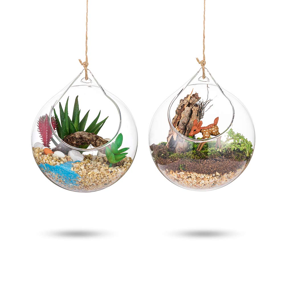 Hängende Glaskugel Vase Glaskugel 6 Pcs Grosse Öffnung Sukkulenten Aufhängen Terrarium Glas Flower A