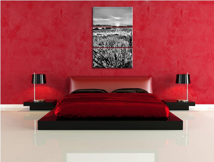 Pixxprint Lavendelfeld in Frankreich als Leinwandbild/Grösse: 3 Teilig (120x80) cm/Wandbild/Kunstdru
