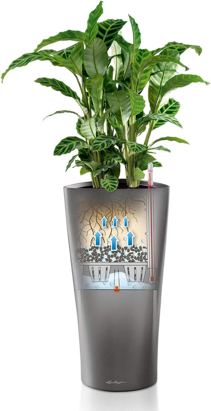 LECHUZA DELTA Premium 30 anthrazit metallic 15503 Anthrazit Metallic 29x29x56.5 cm Single, Anthrazit