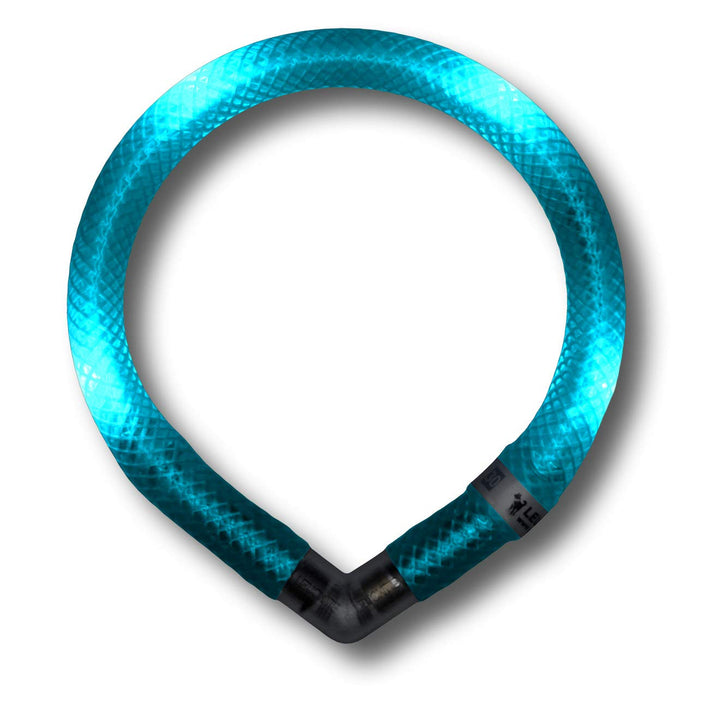 LEUCHTIE® Leuchthalsband Mini türkis Grösse 25 I LED Halsband extra für kleine Hunde I wasserdicht I
