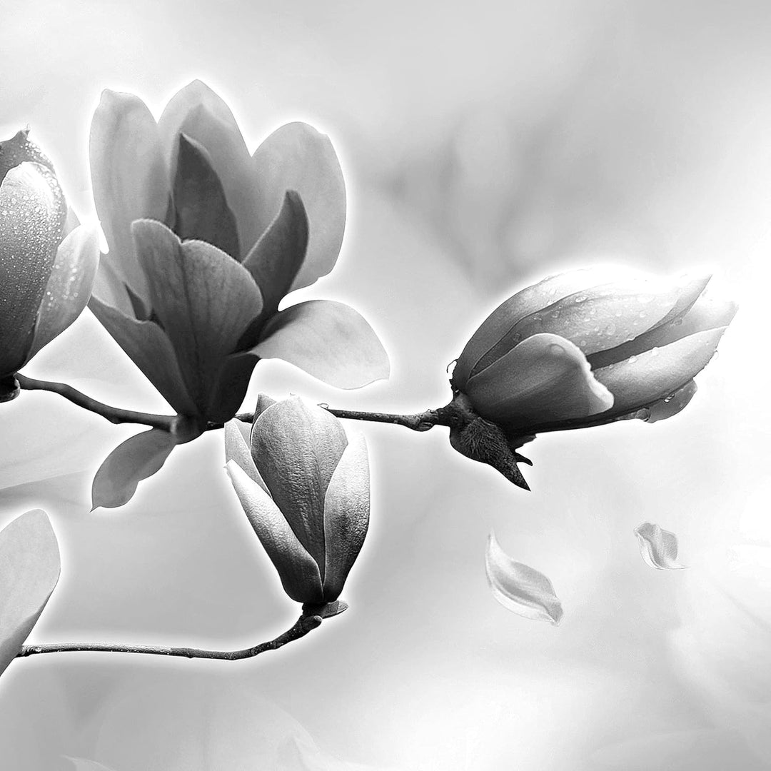 Runa Art Wandbild XXL Blumen Magnolien Wohnzimmer Schlafzimmer 200 x 80 cm Schwarz Weiss 5 Teilig -
