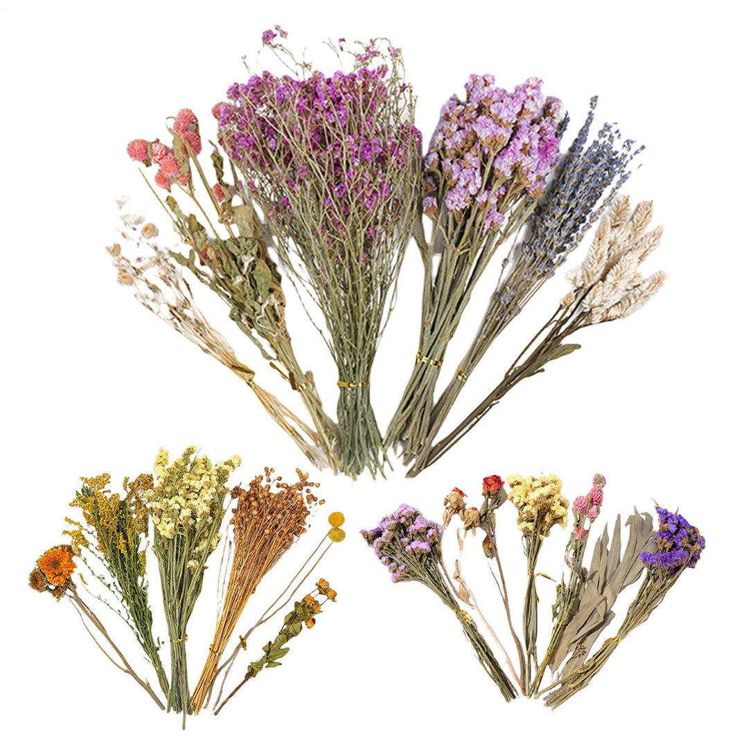 Trockenblumen Für Hamster, Hamster Heublumens Einstreu, Natürliche Getrocknete Blumensträusse Blumen