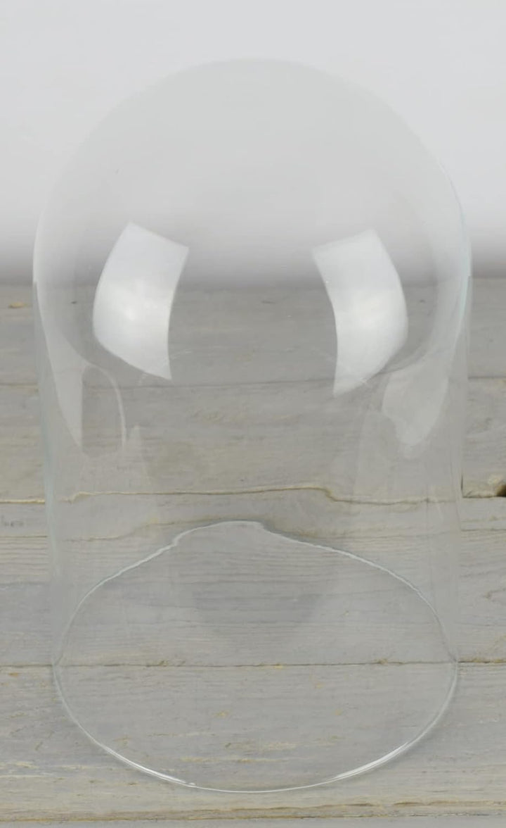 EMH Glaskuppel, Vintage-Look, mittelgross, 30 x 18,7 cm