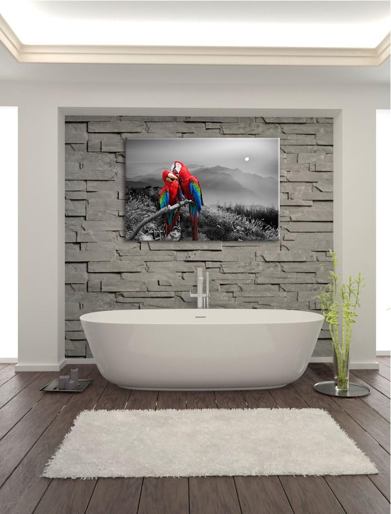süsse Papageien auf Ast schwarz/weiss Format: 100x70 auf Leinwand, XXL riesige Bilder fertig gerahmt