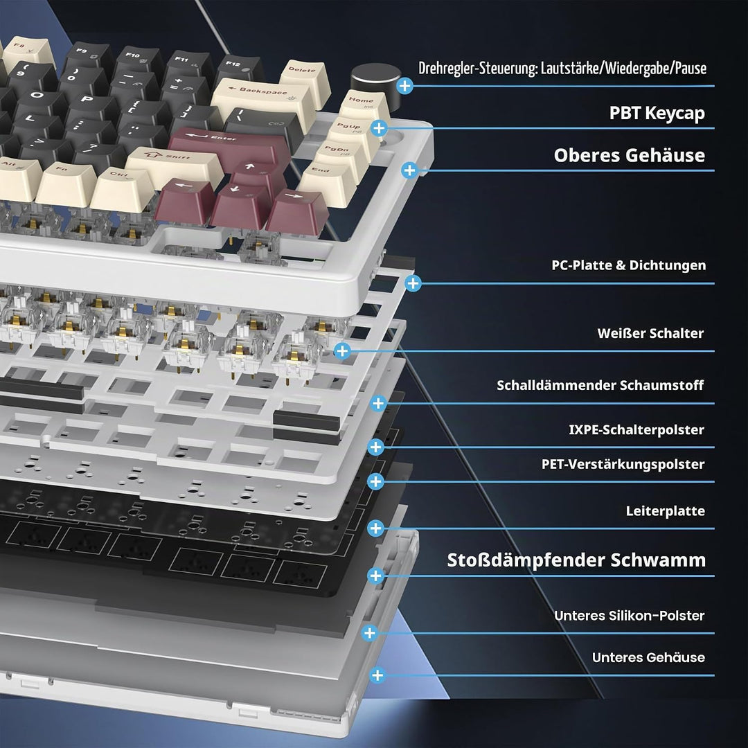 SOLIDEE Verkabelte Mechanische Gaming Tastatur 75 Prozent, Hot-Swap-Fähig Mit Gasket Struktur, RGB H