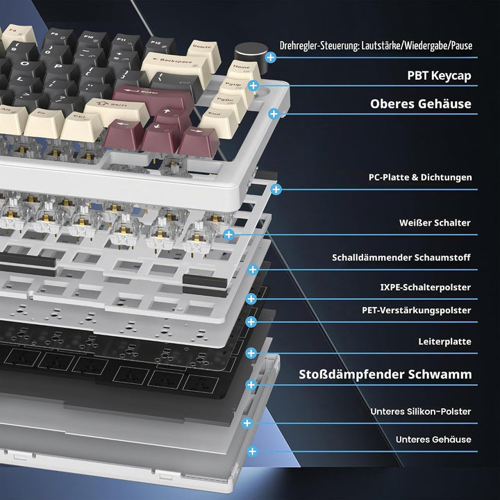 SOLIDEE Verkabelte Mechanische Gaming Tastatur 75 Prozent, Hot-Swap-Fähig Mit Gasket Struktur, RGB H