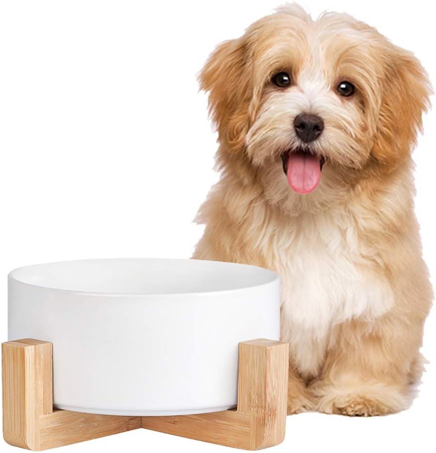Futternapf Hund - Futternapf Katze mit Holz Ständer - Katzennapf Hundenapf Keramik Fressnapf für Was