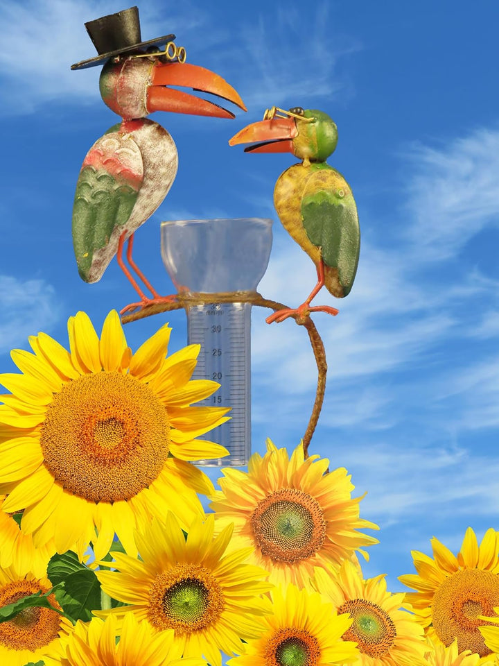 Pommerntraum ® | Regenmesser Niederschlagsmesser Pluviometer Rostoptik Prof. Dr. Rabe mit + Meisenkn