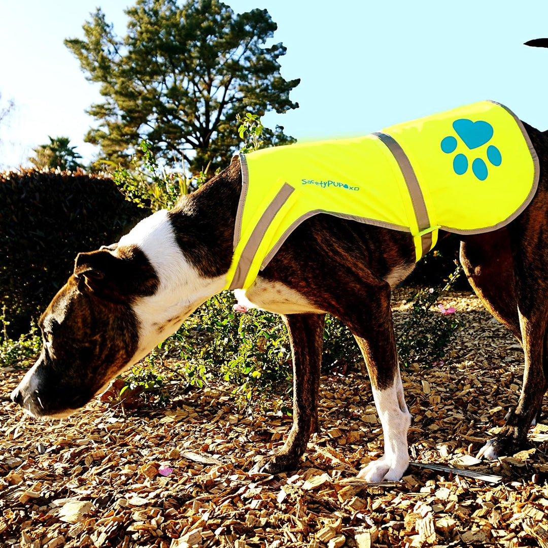 SafetyPUP XD Hund Warnweste, Grössen passen Hunde 14 lbs bis 130 lbs Neon Gelb Mittel Mittel Neon Ge