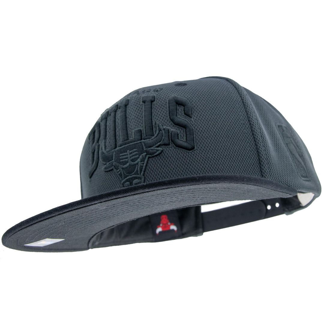 Mitchell & Ness Resist 3D Arch Snapback (NBA/NHL), Chicago Bulls, Grau